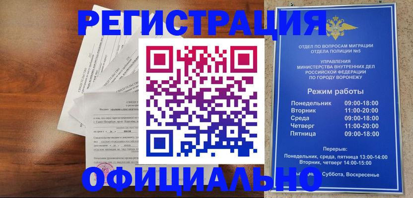 прописка поиск в Камышине